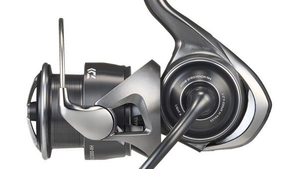 Daiwa Caldia 25 LT photo