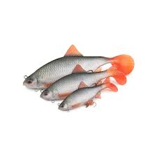 Fox Rage Replicant Ultra-Realistic Roach photo