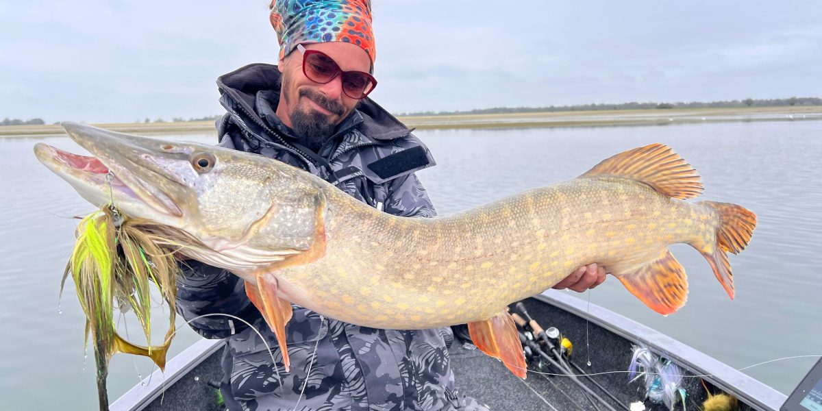 shallow cruiser matthias lothy