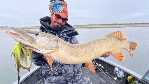 shallow cruiser matthias lothy