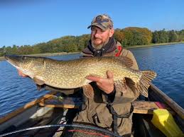 dents brochet esox lucius