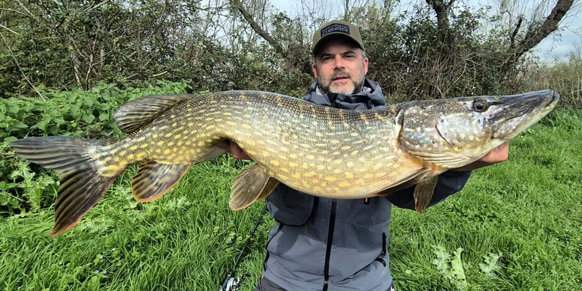 pêche bigbait