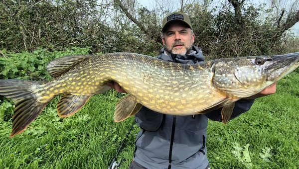 pêche bigbait
