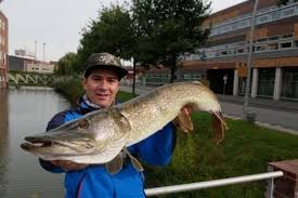 pêche brochet 6°
