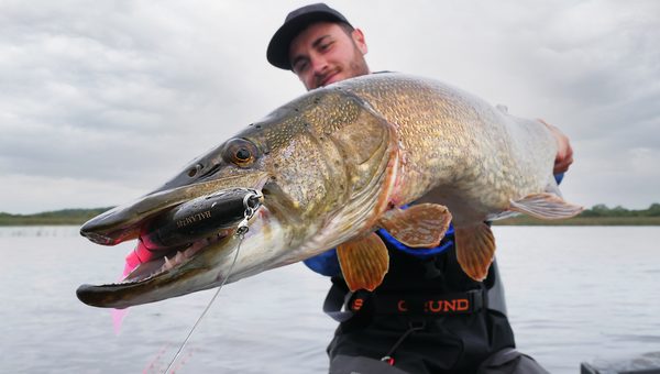 pêche brochet du bord