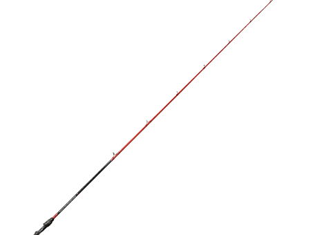 Canne Casting Tenryu Injection BCV 66 XH avis
