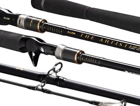 The Artist X5 B 250 XH