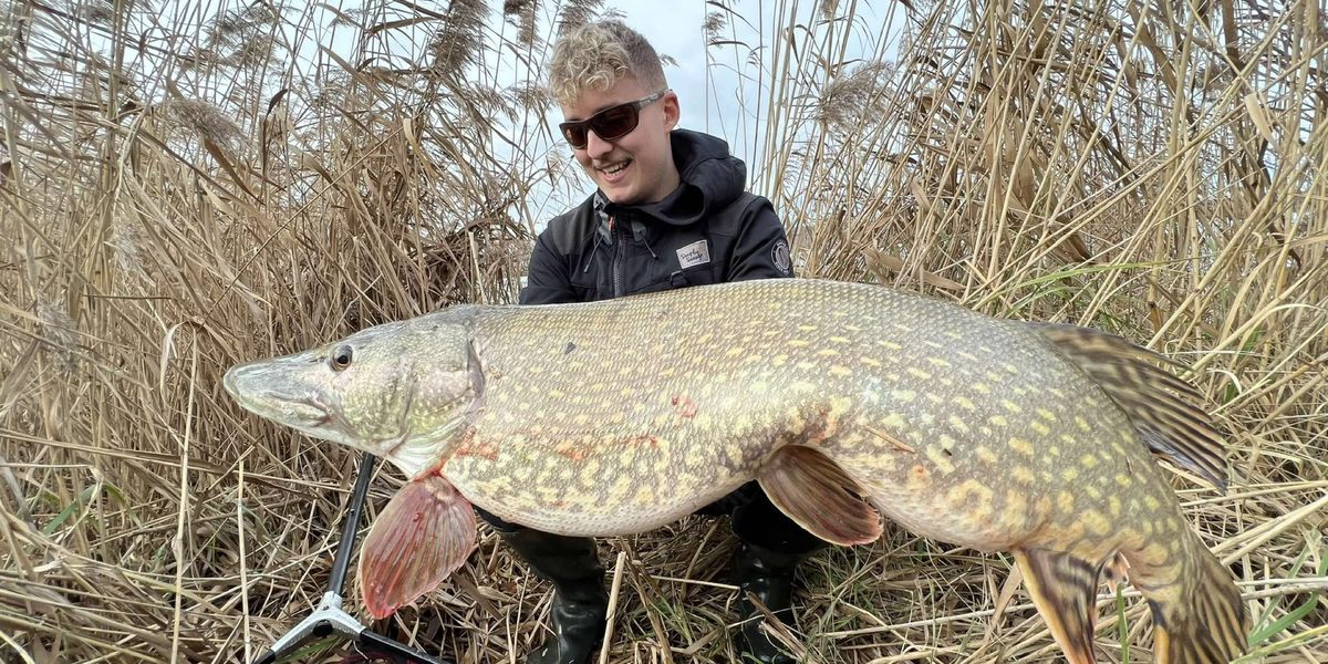 Comment pêcher le brochet au bigbait