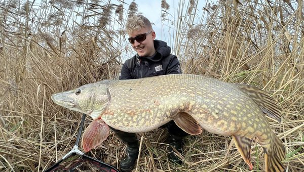 Comment pêcher le brochet au bigbait