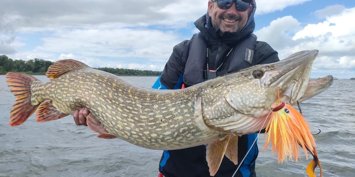 Comment pêcher le brochet à la miuras