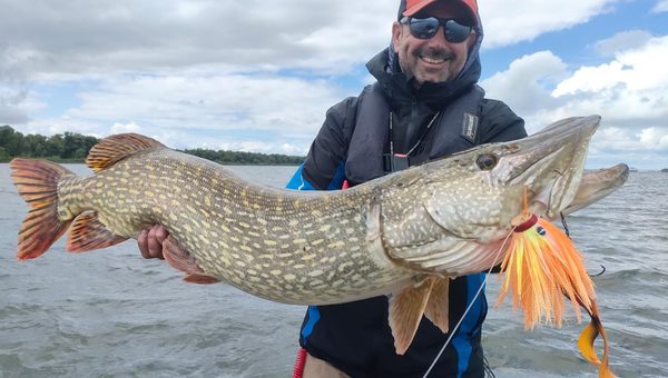 Comment pêcher le brochet à la miuras