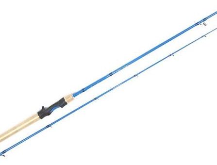 canne casting 10 80gr
