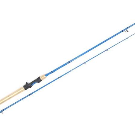 canne casting 10 80gr