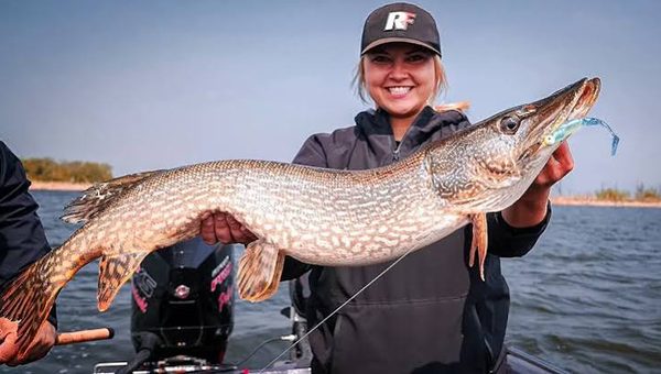peche brochet octobre meilleur leurre