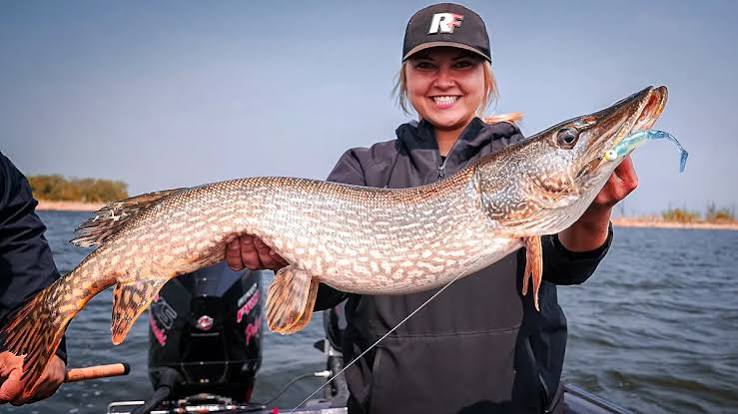 peche brochet octobre meilleur leurre