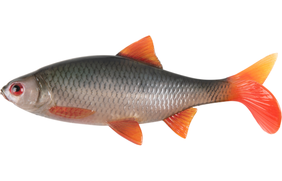 Fox Rage Ultra Natural Roach pour la pêche du brochet