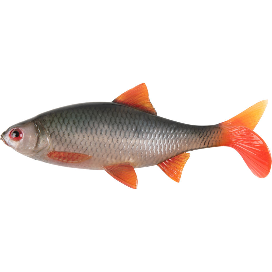 Fox Rage Ultra Natural Roach, autre vue