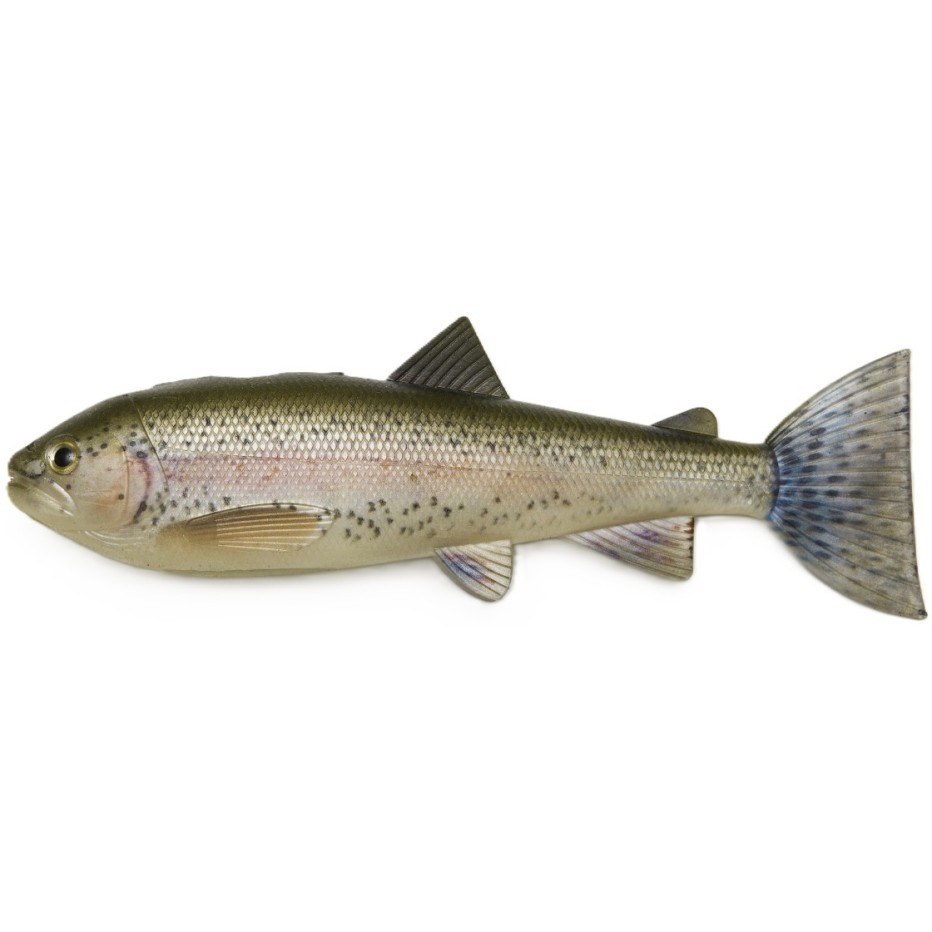 Pulzbait Skinz 20 cm pour la pêche du brochet