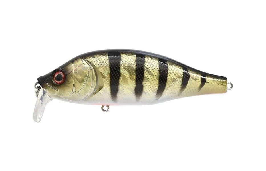 Xorus Dango 120 SR, crankbait ventru coloris perche, vue de profil